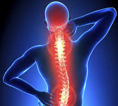 Physiotherapy for Back Pain Sydney